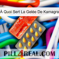 À Quoi Sert La Gelée De Kamagra new01